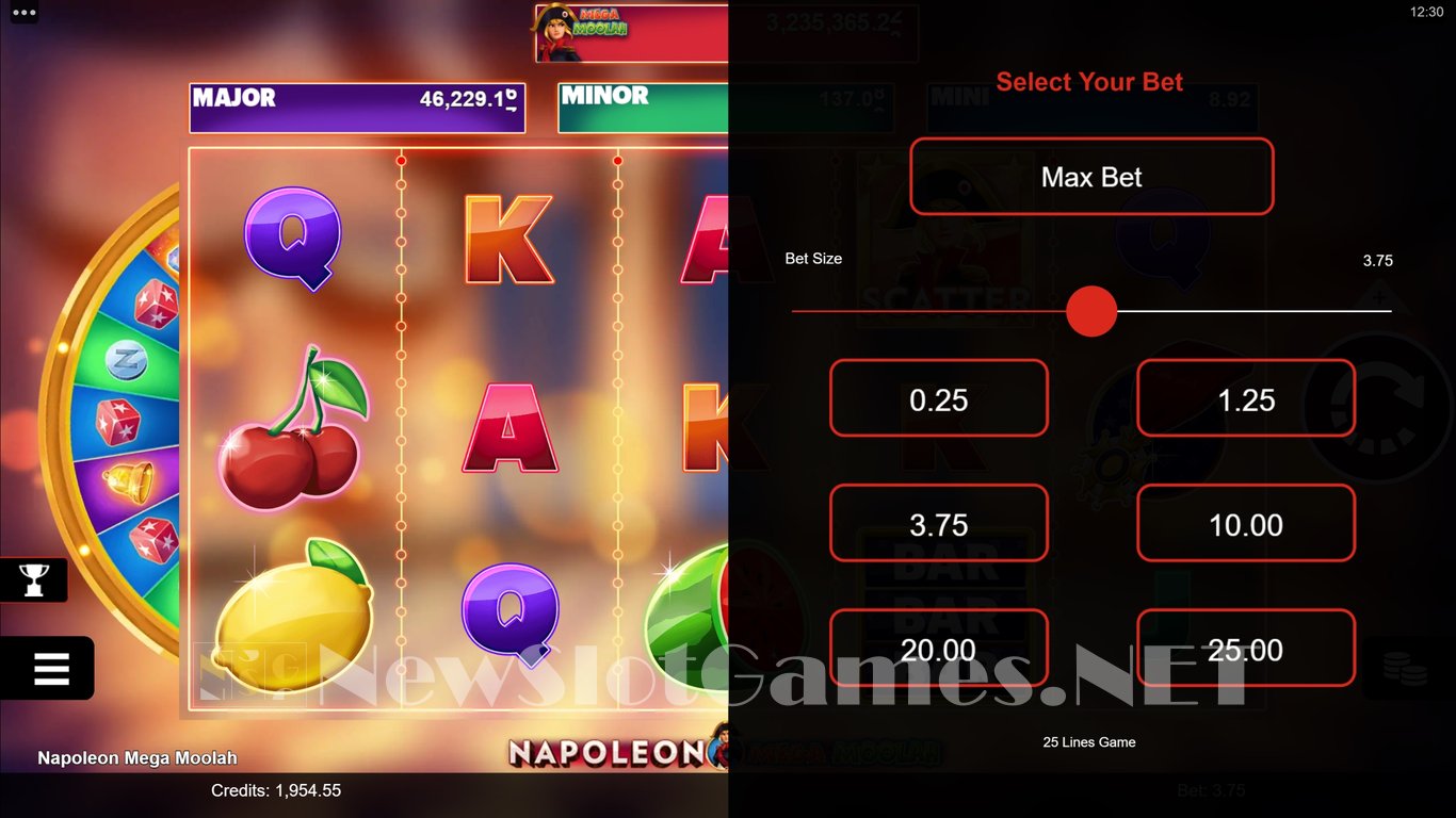 Napoleon Mega Moolah Slot Slot Image in Demo - pic. 12