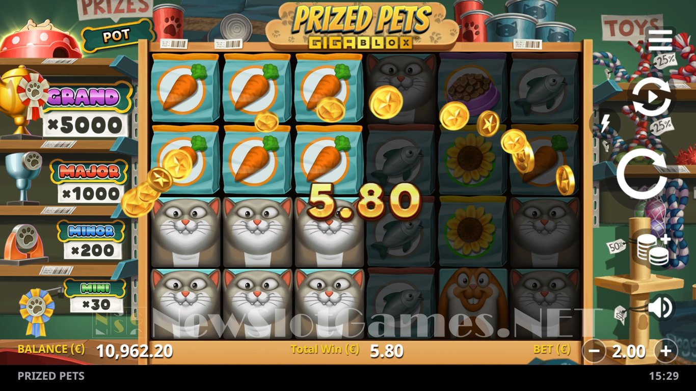 Prized Pets Slot Slot Image in Demo - pic. 13