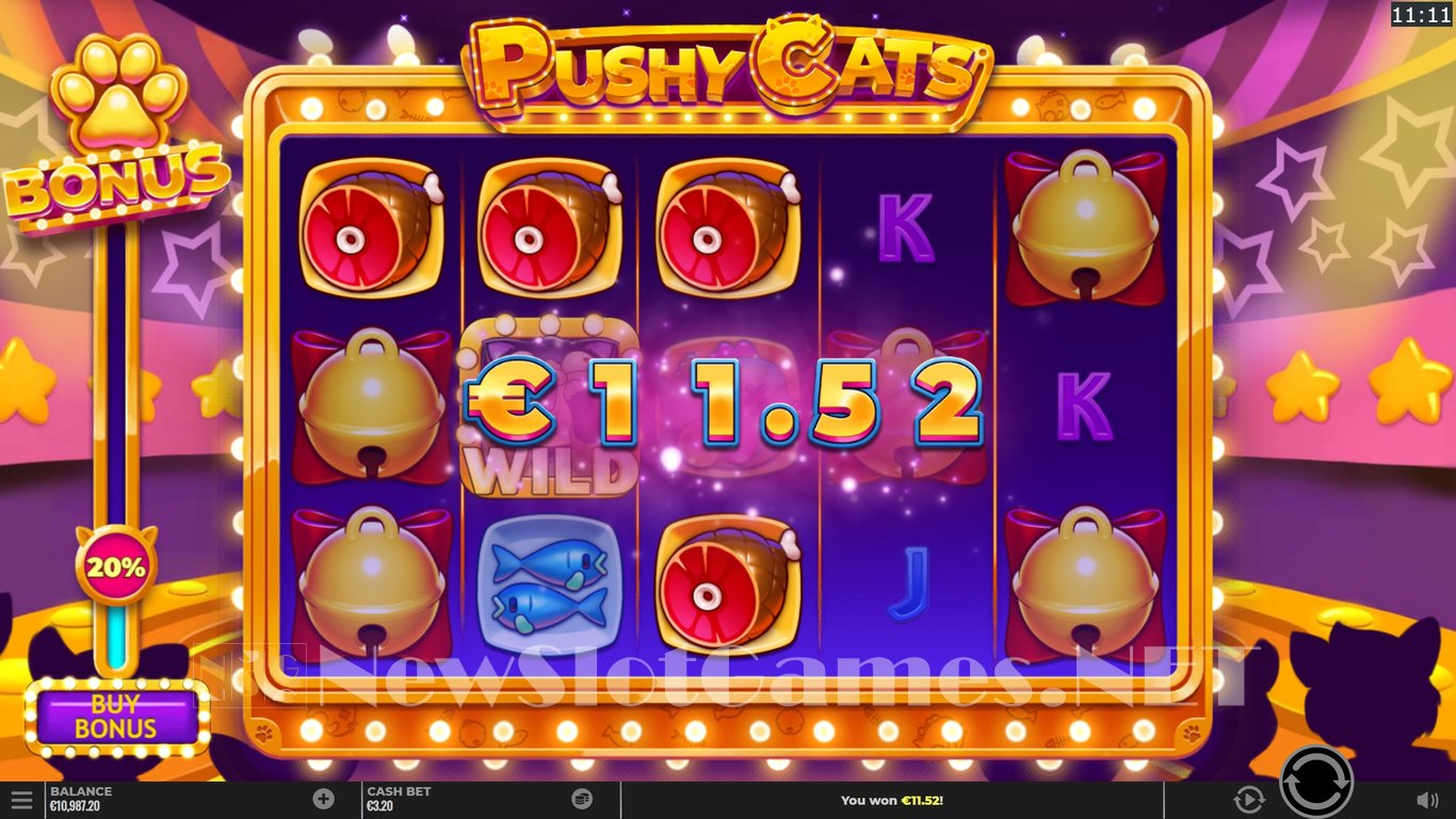 Pushy Cats Slot Slot Image in Demo - pic. 4