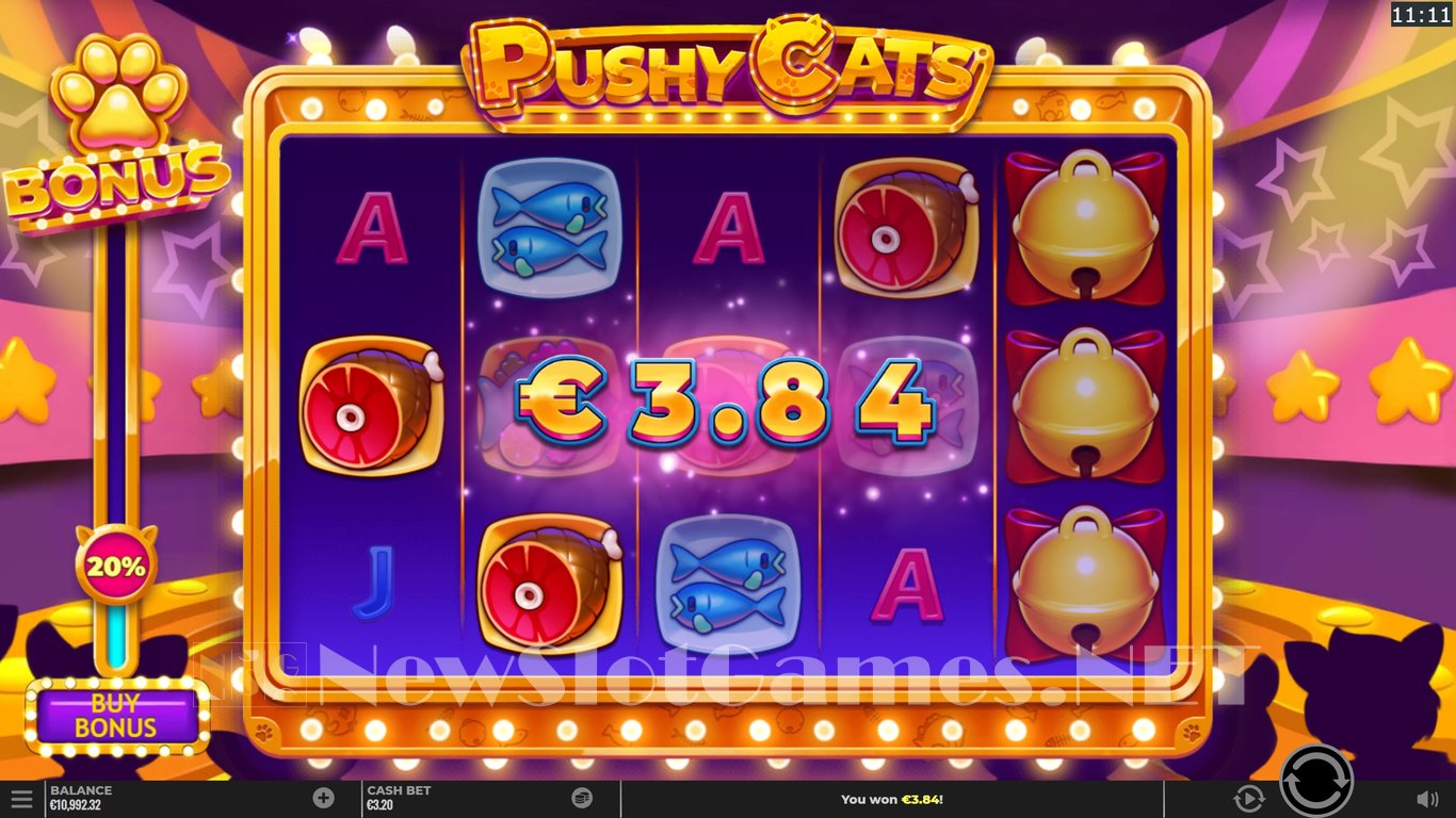 Pushy Cats Slot Slot Image in Demo - pic. 6