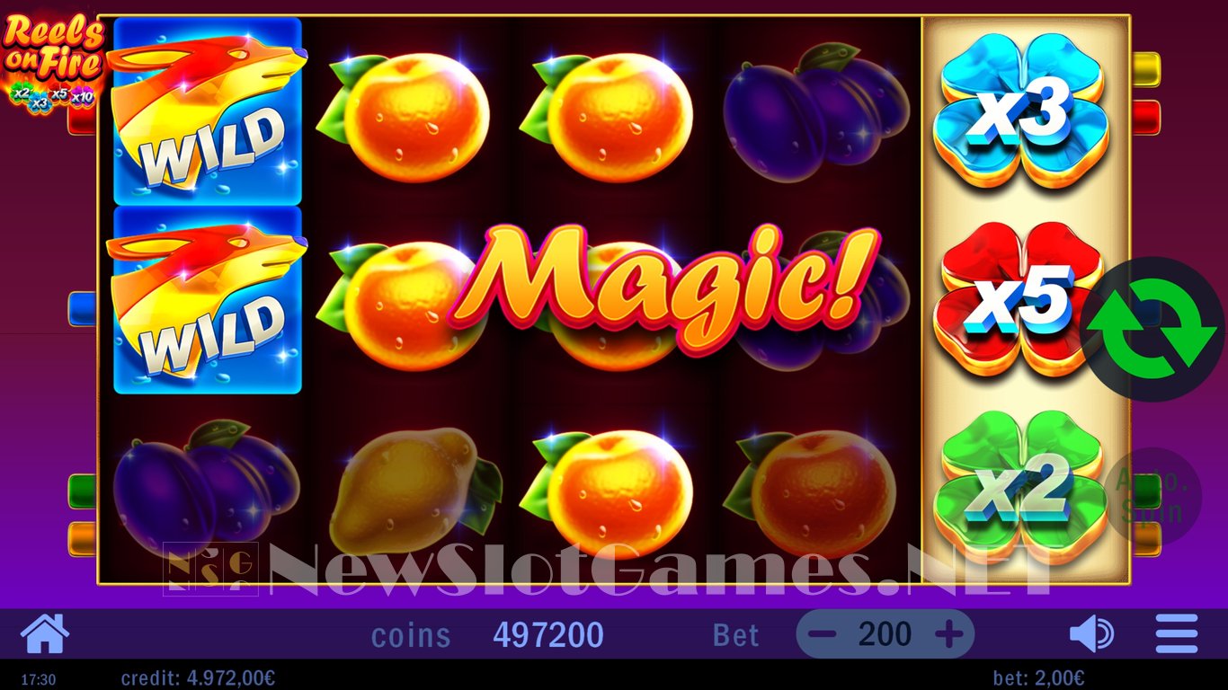 Reels on Fire Slot Slot Image in Demo - pic. 12