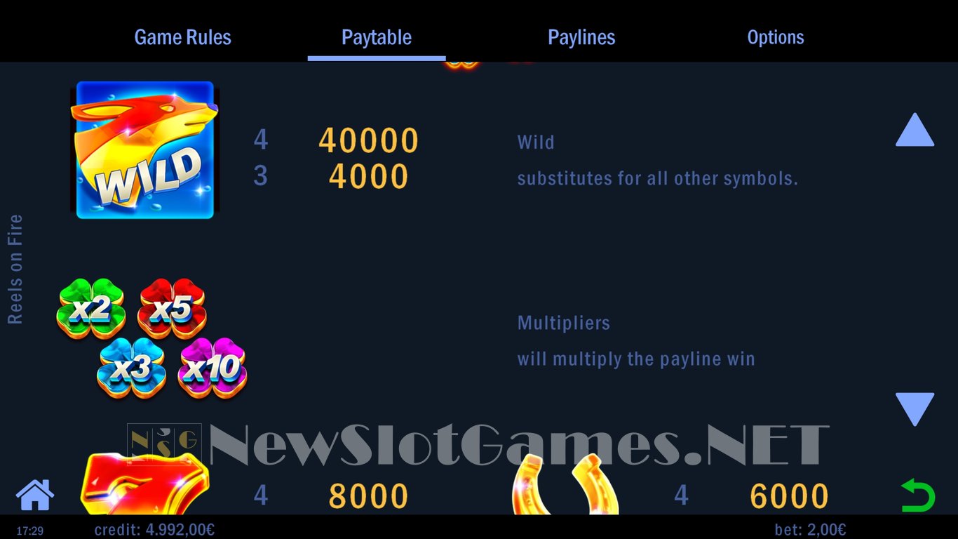 Reels on Fire Slot Slot Image in Demo - pic. 4