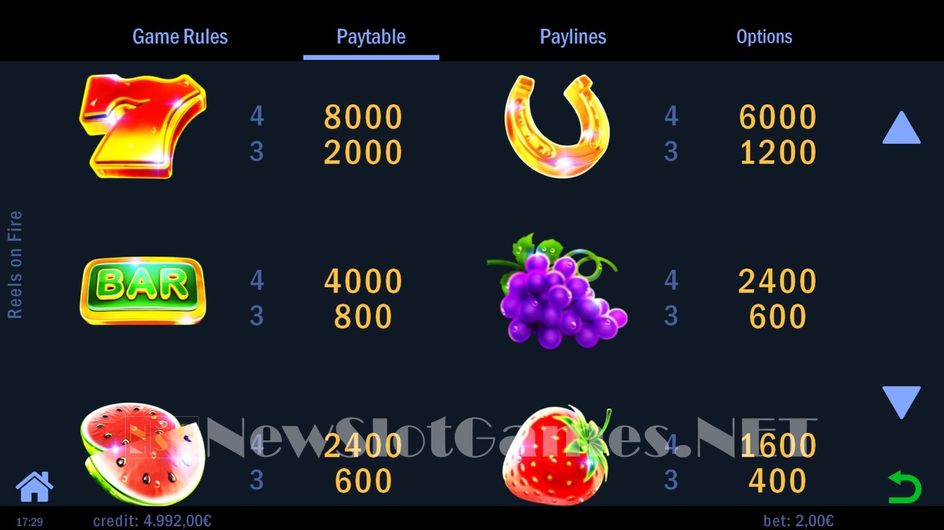 Reels on Fire Slot Slot Image in Demo - pic. 5