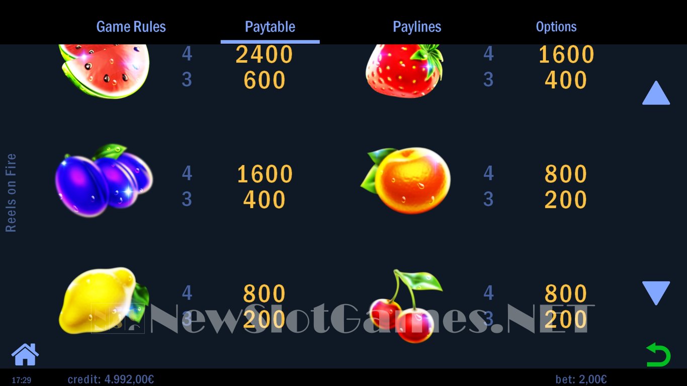 Reels on Fire Slot Slot Image in Demo - pic. 6