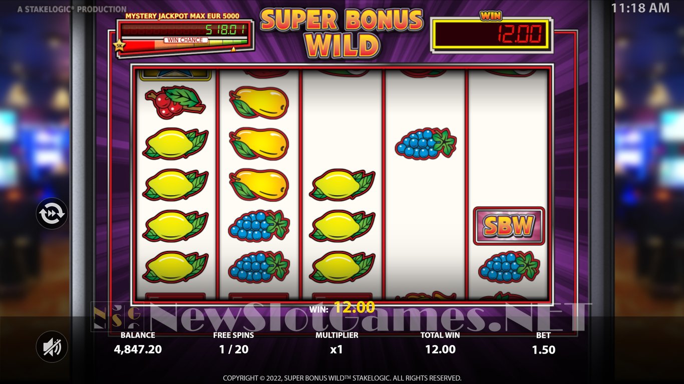 Super Bonus Wild Slot Slot Image in Demo - pic. 11