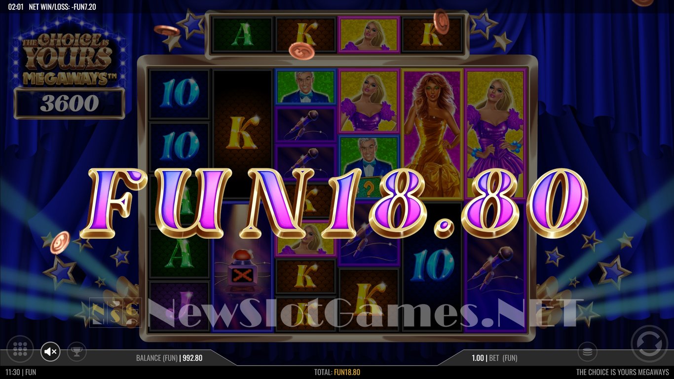 The Choice is Yours Slot Slot Image in Demo - pic. 10
