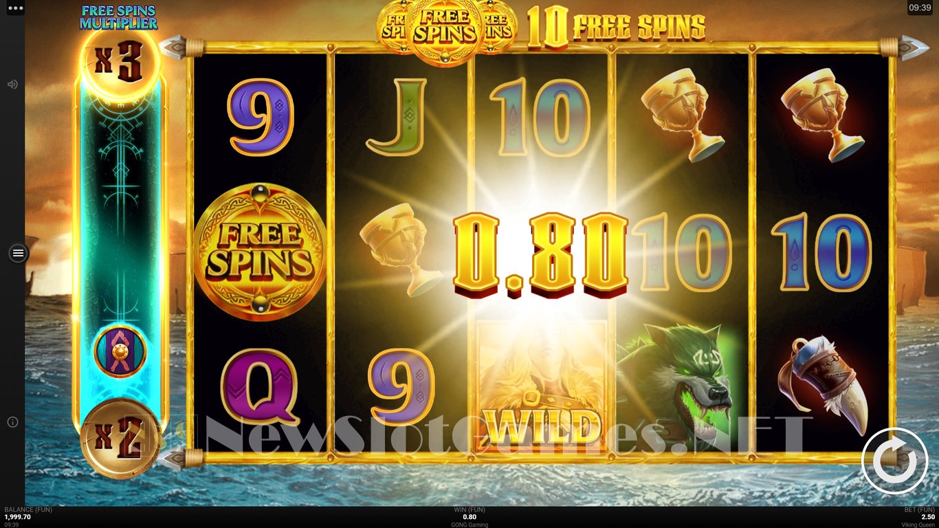 Viking Queen Slot Slot Image in Demo - pic. 12