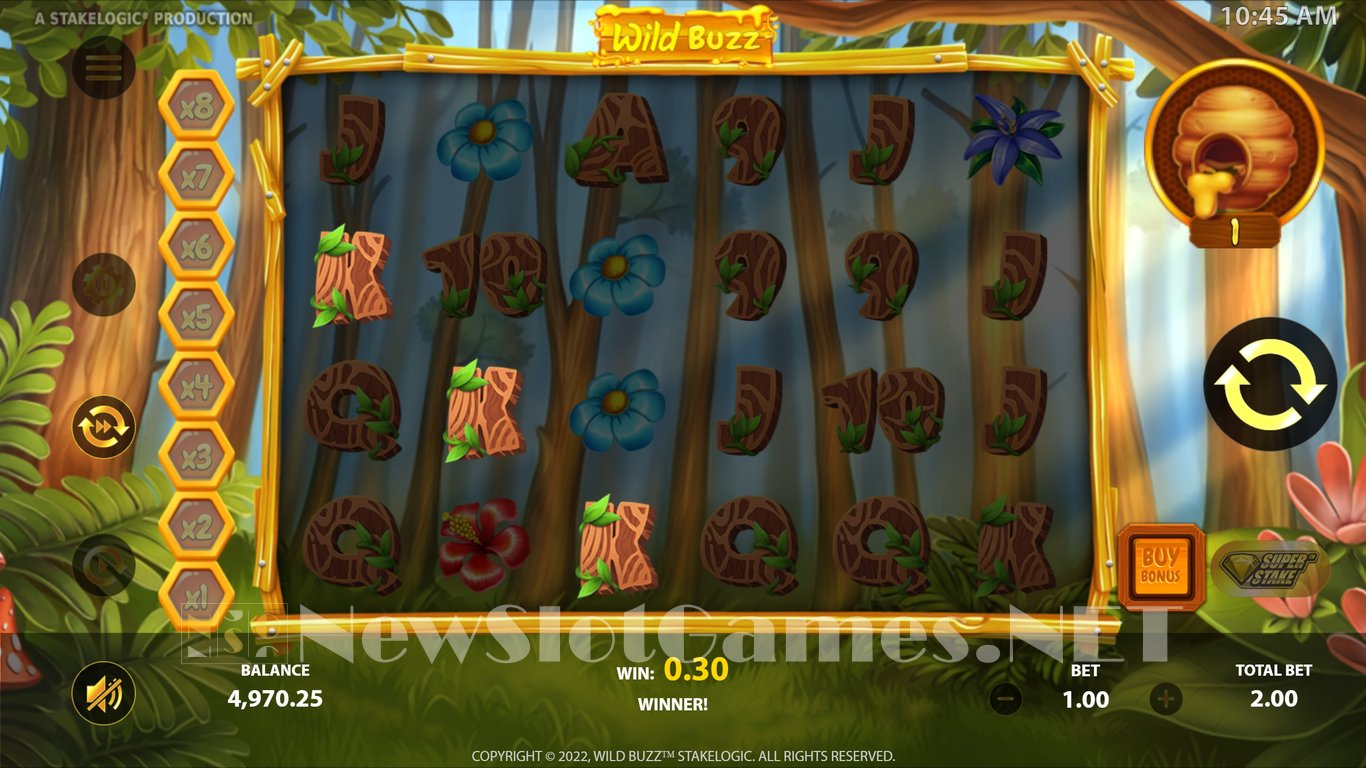 Wild Buzz Slot Slot Image in Demo - pic. 9
