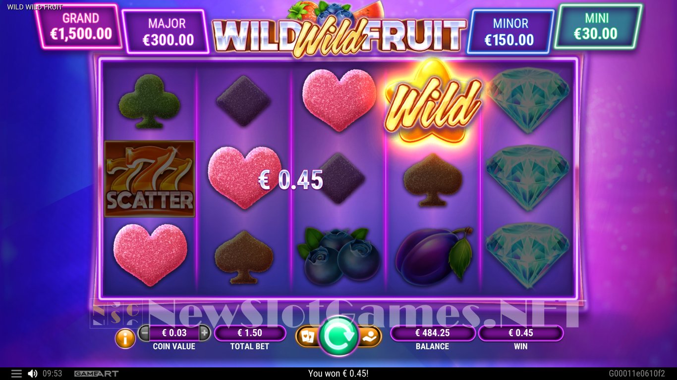 Wild Wild Fruit Slot Slot Image in Demo - pic. 13