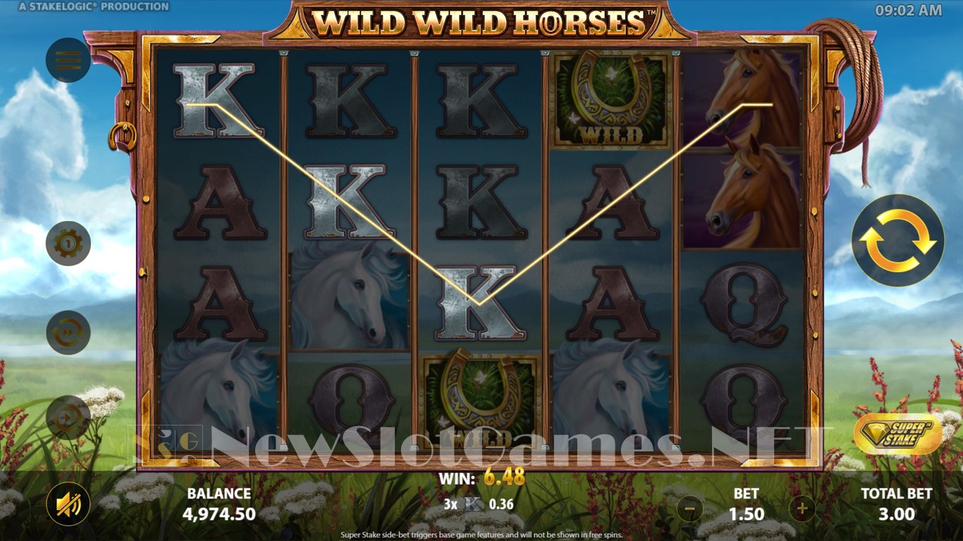 Wild Wild Horses Slot Slot Image in Demo - pic. 9