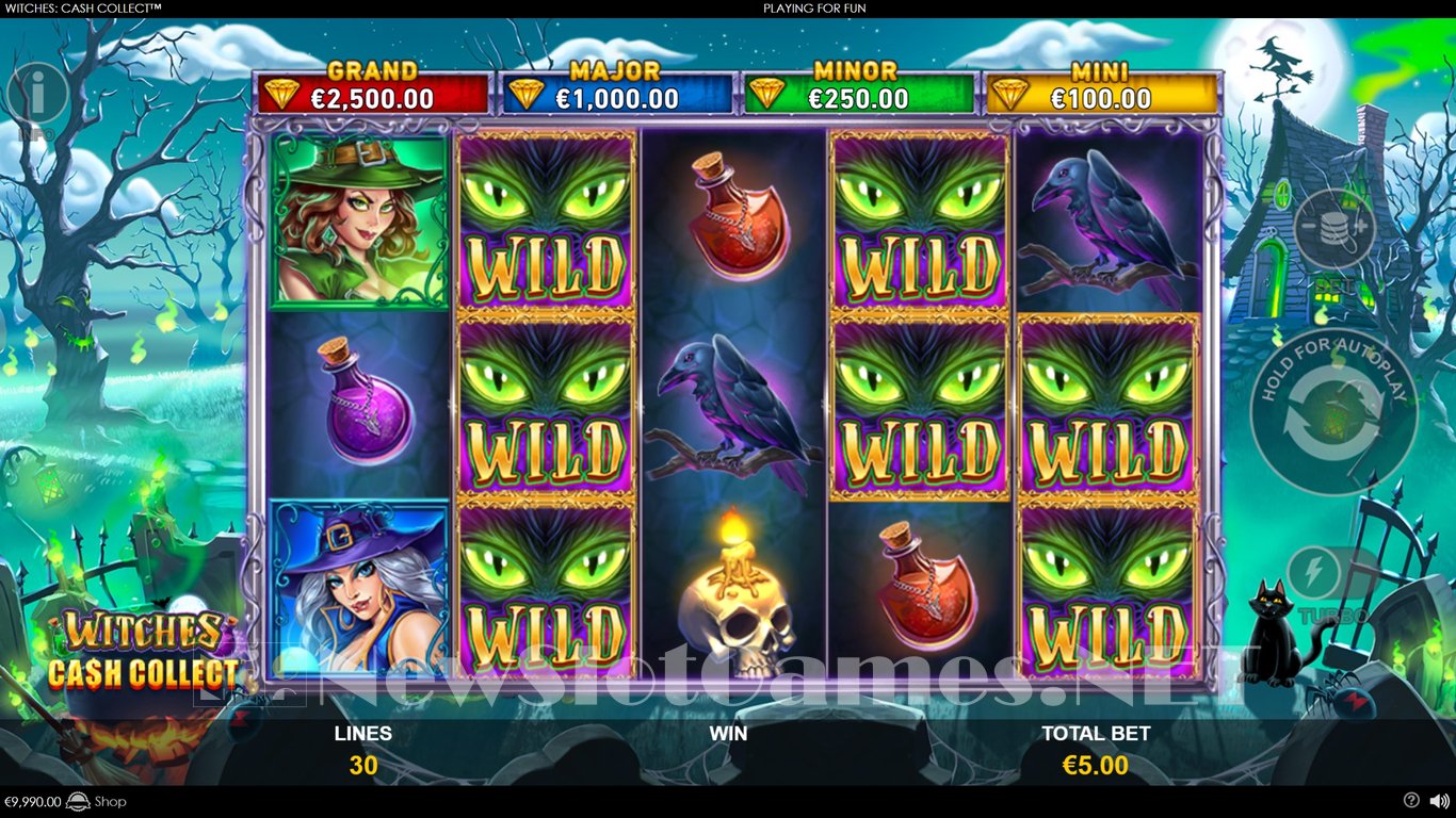 Witches Cash Collect Slot Slot Image in Demo - pic. 2