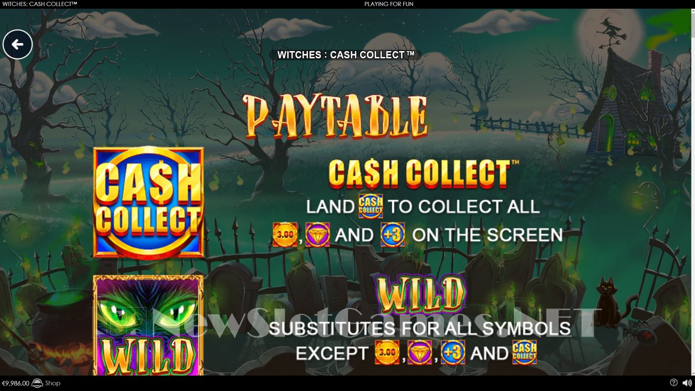 Witches Cash Collect Slot Slot Image in Demo - pic. 4