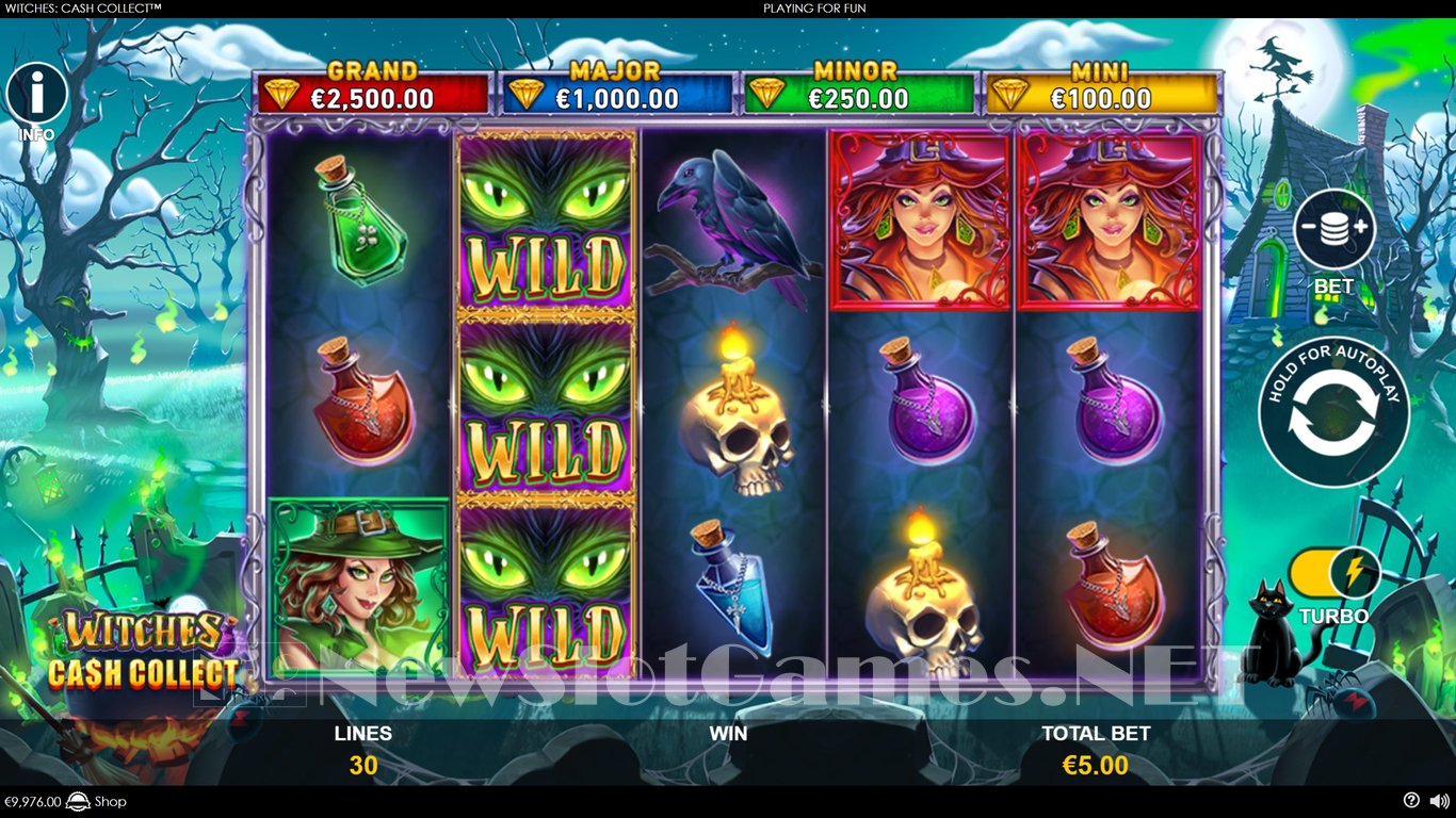 Witches Cash Collect Slot Slot Image in Demo - pic. 7