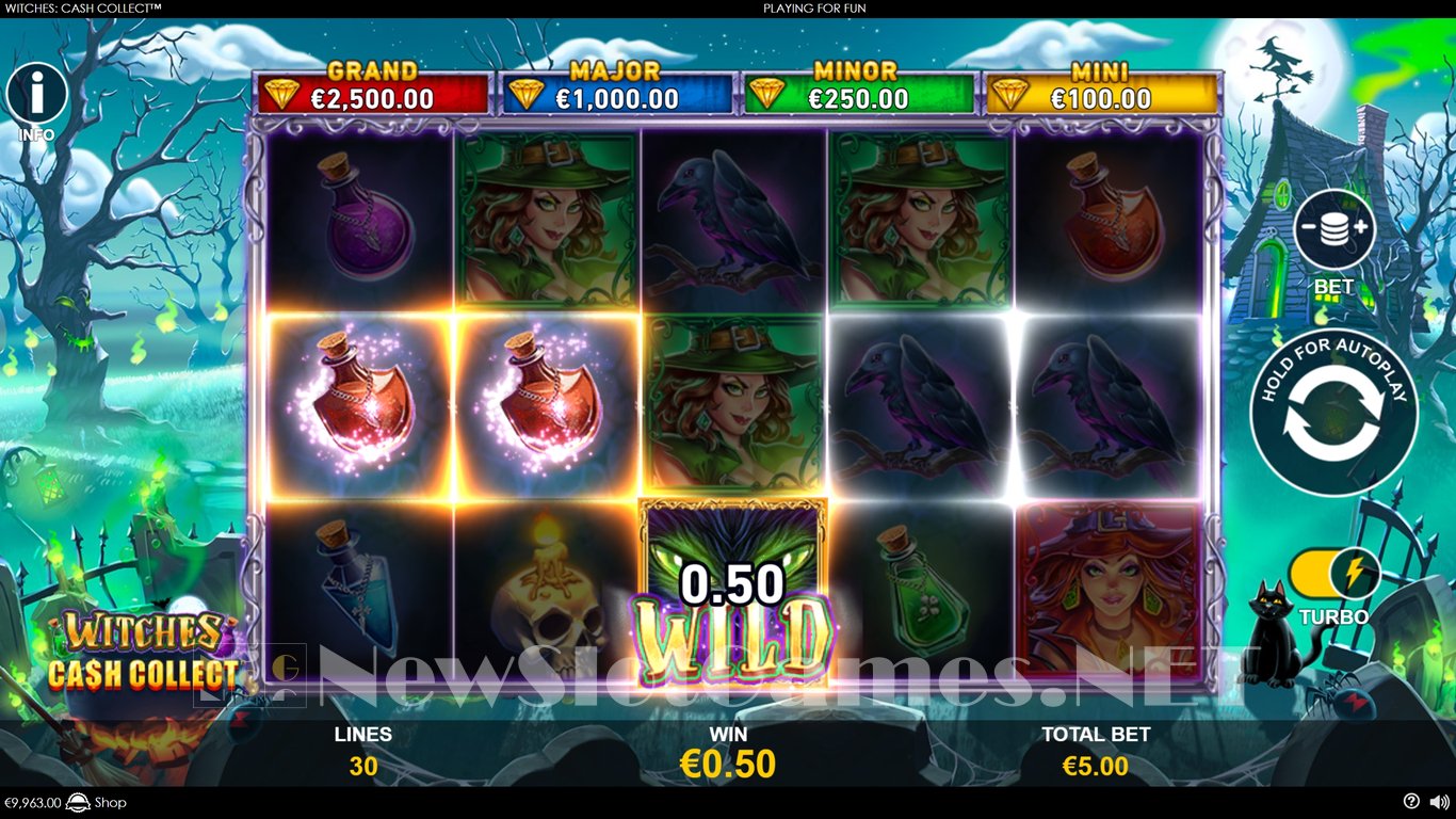 Witches Cash Collect Slot Slot Image in Demo - pic. 8