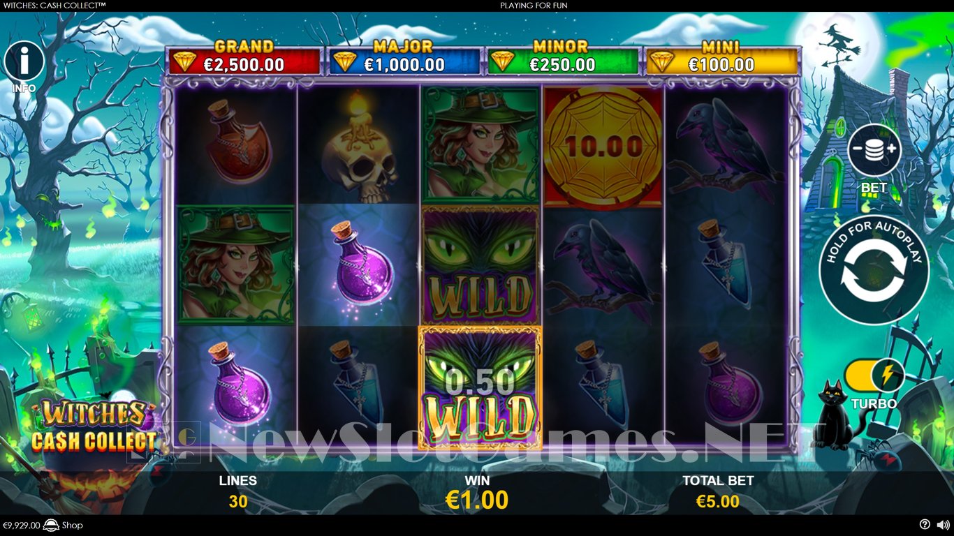 Witches Cash Collect Slot Slot Image in Demo - pic. 9
