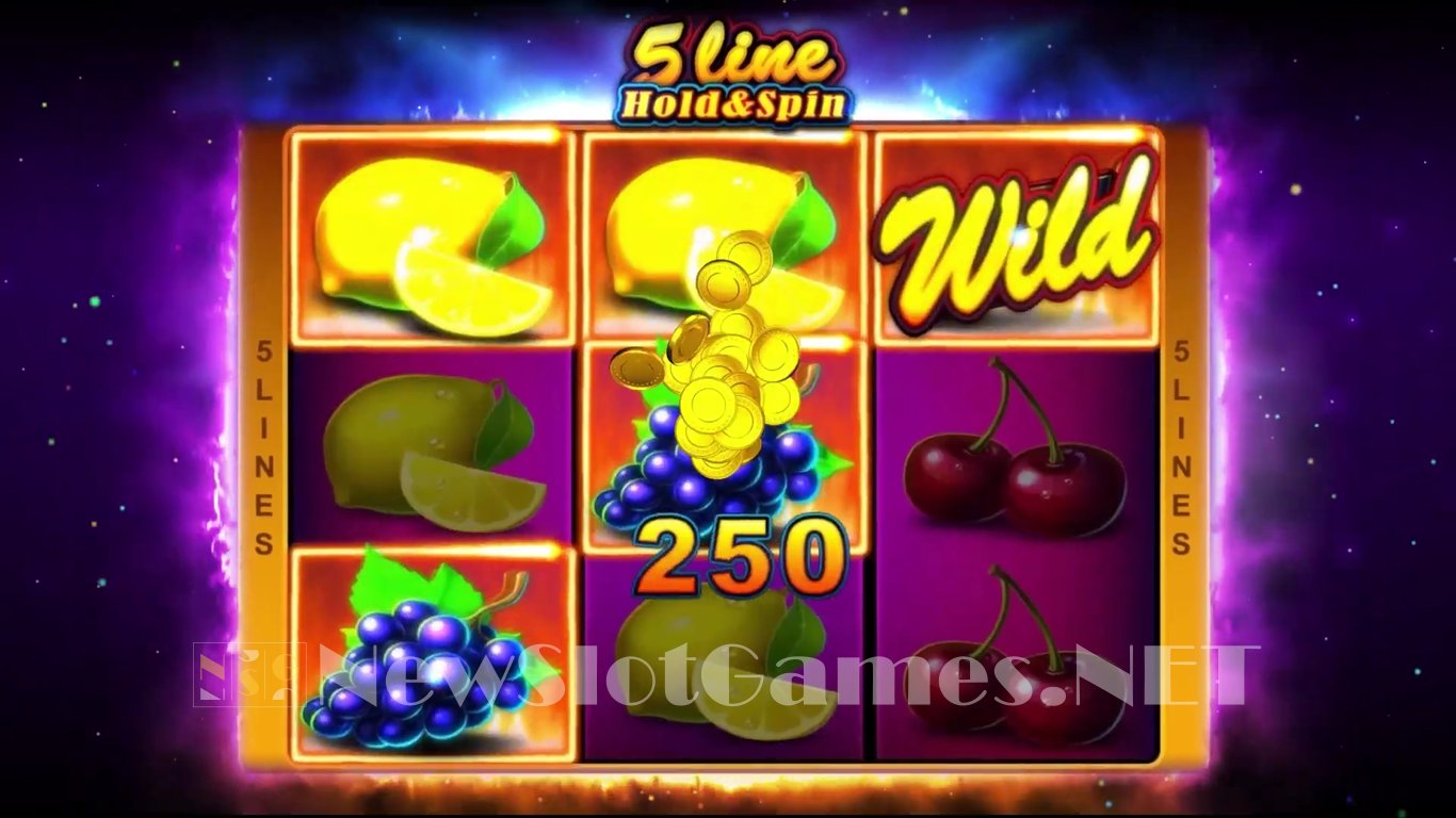 5 Line Hold & Spin Slot Demo Image
