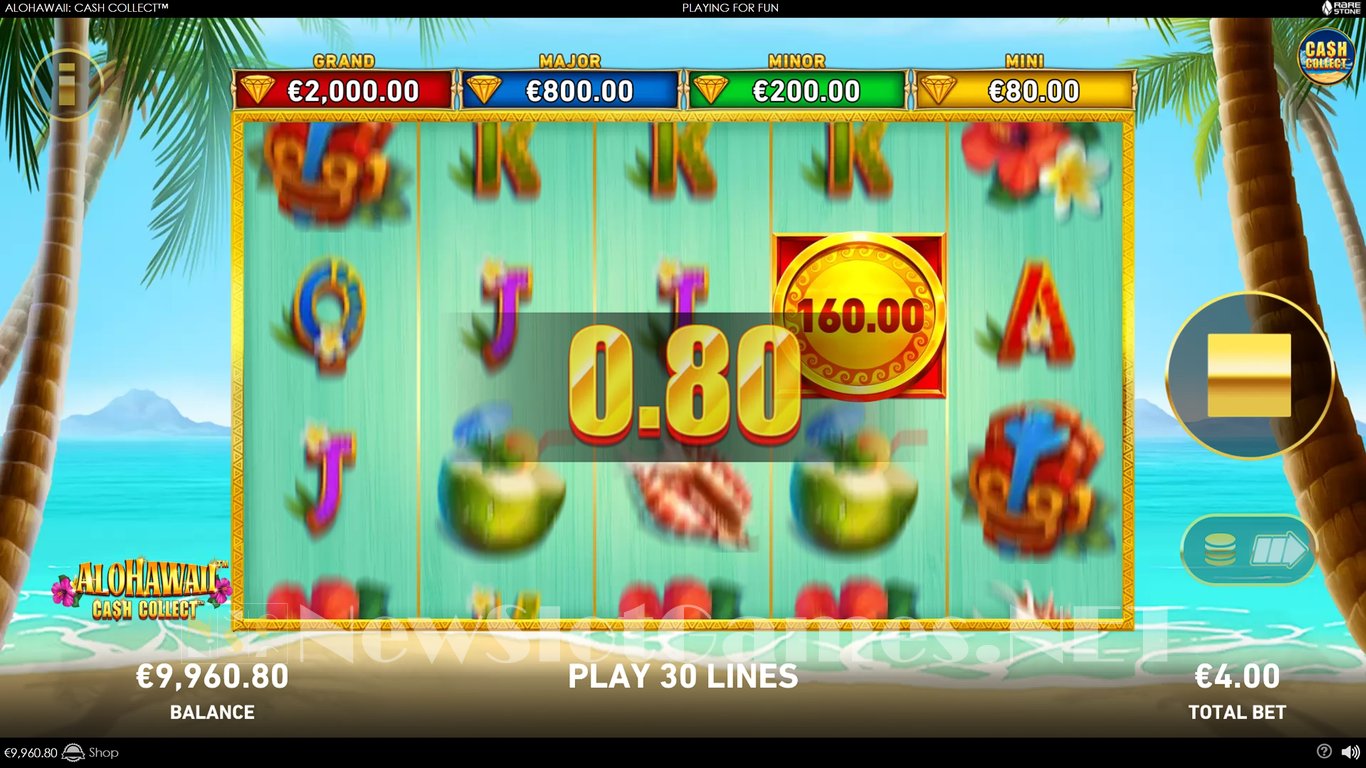 Alohawaii Cash Collect Slot Slot Image in Demo - pic. 5