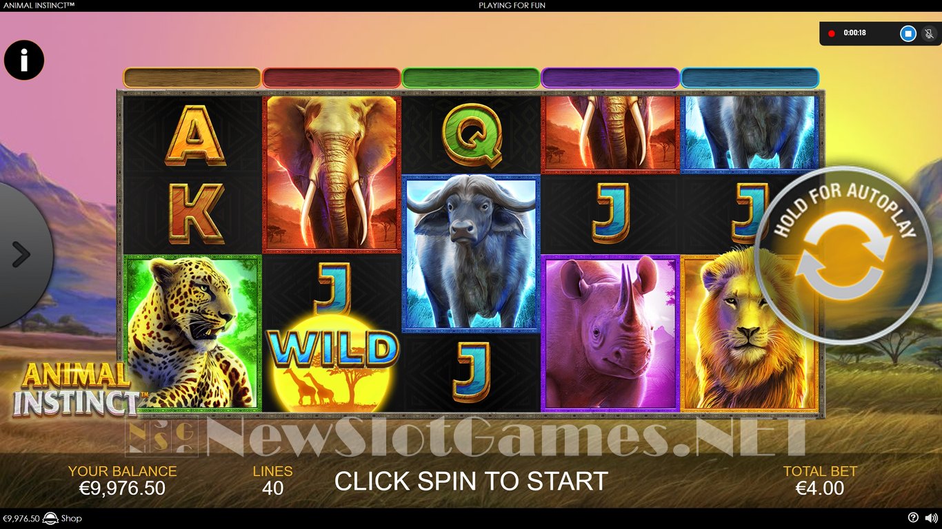 Animal Instinct Slot Slot Image in Demo - pic. 5