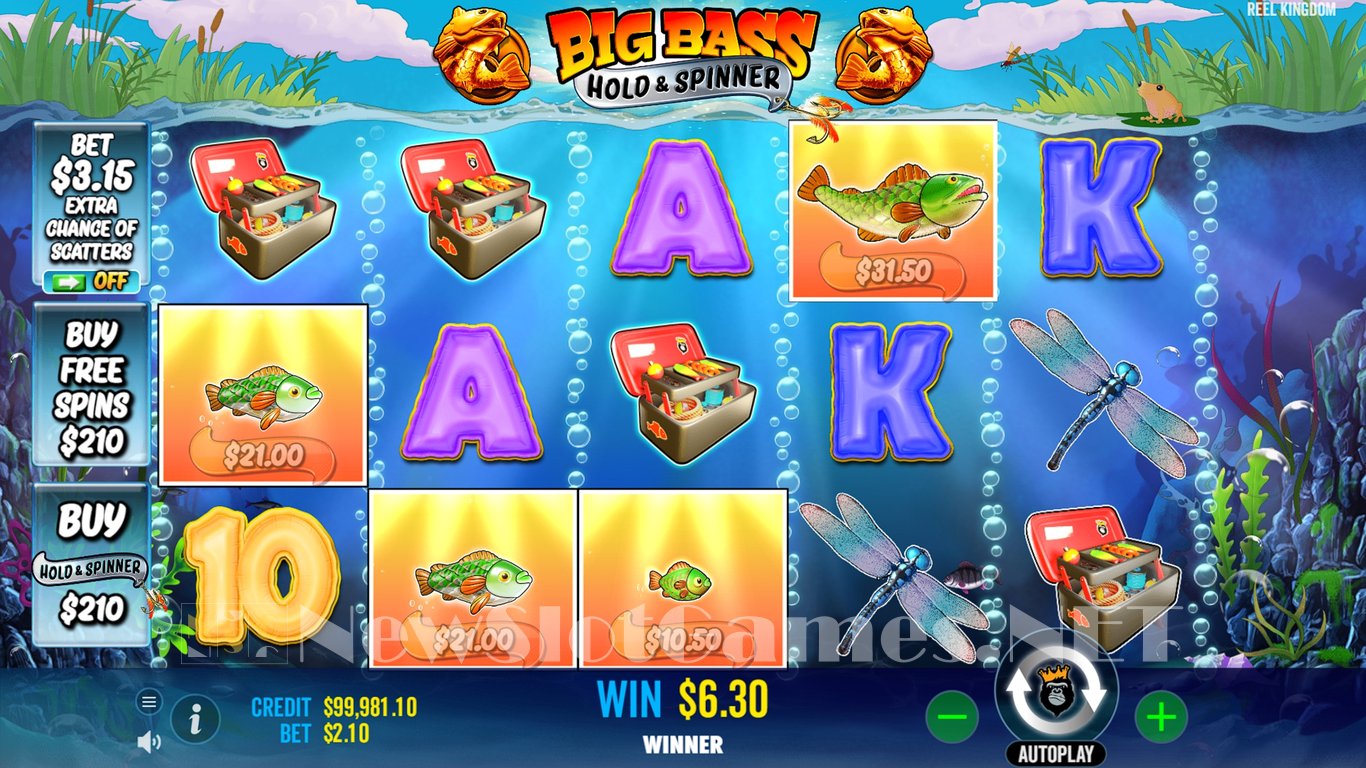 Big Bass Bonanza Hold & Spinner Slot Slot Image in Demo - pic. 5