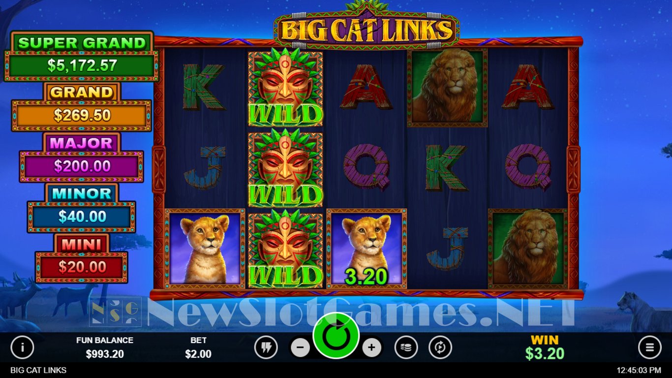Big Cat Links Slot Slot Image in Demo - pic. 8