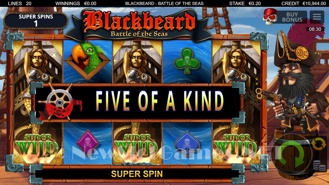 Blackbeard Battle Of The Seas Slot Slot Image in Demo - pic. 10