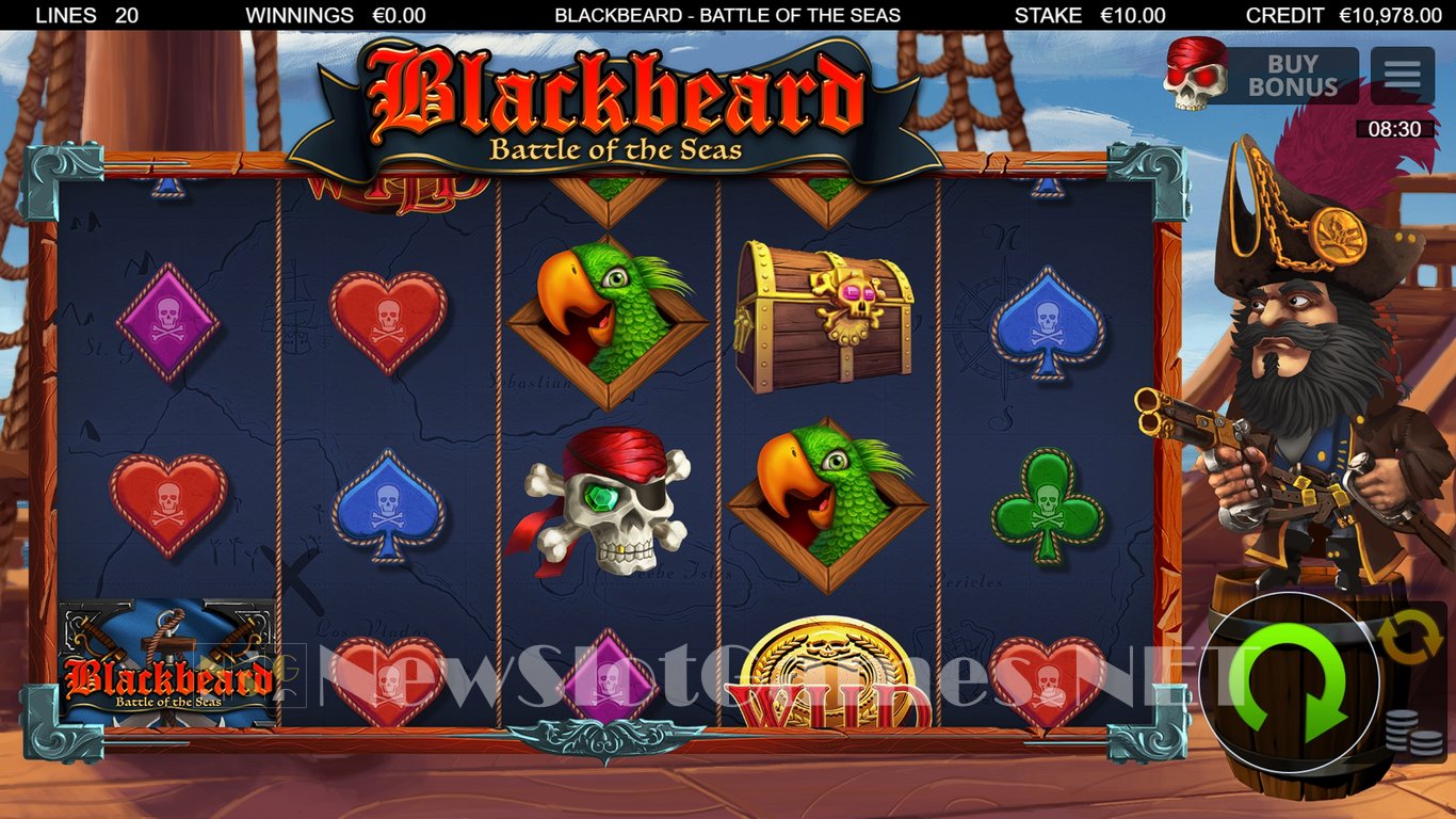 Blackbeard Battle Of The Seas Slot Slot Image in Demo - pic. 6