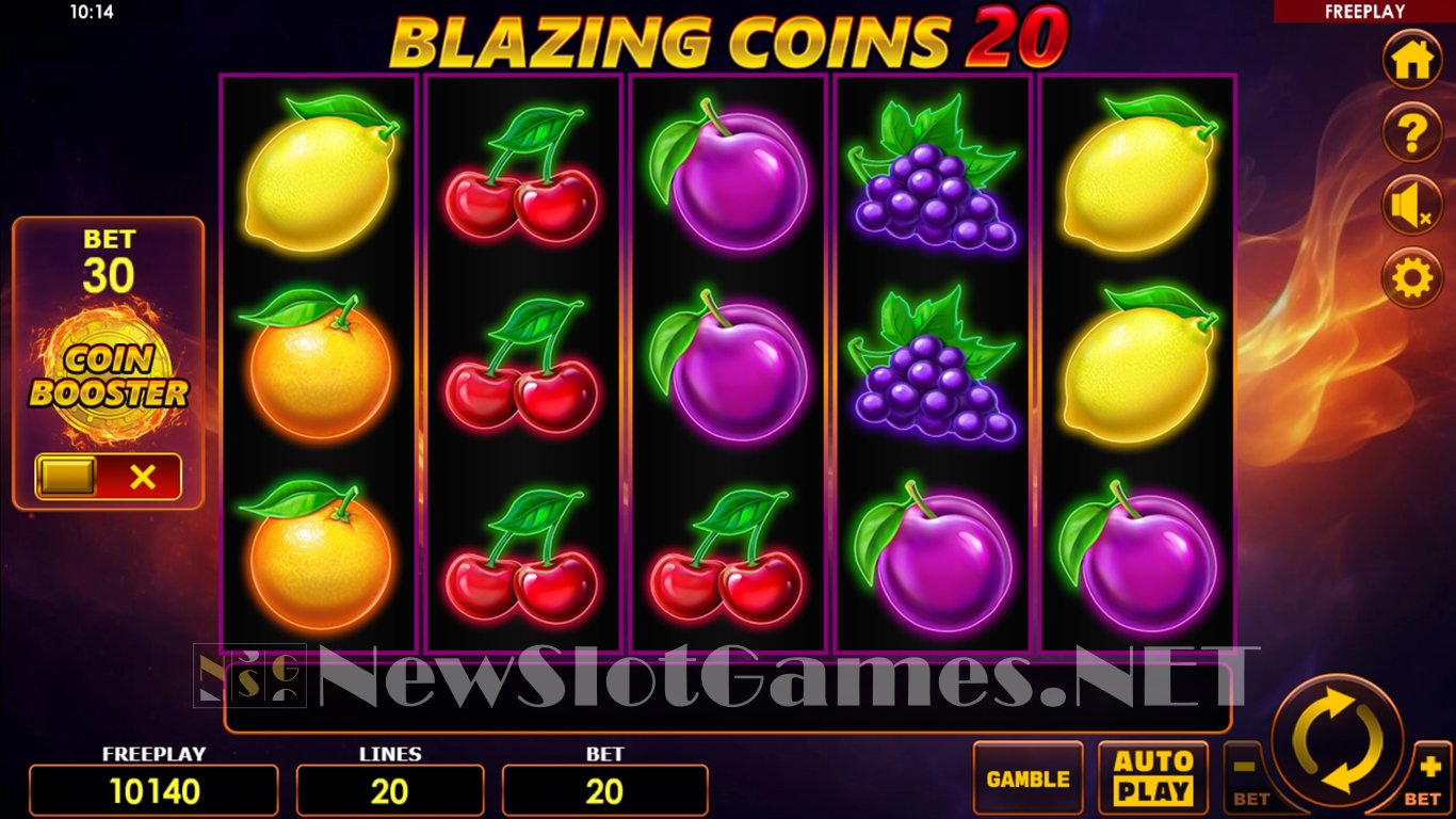 Blazing Coins 20 Slot Slot Image in Demo - pic. 5