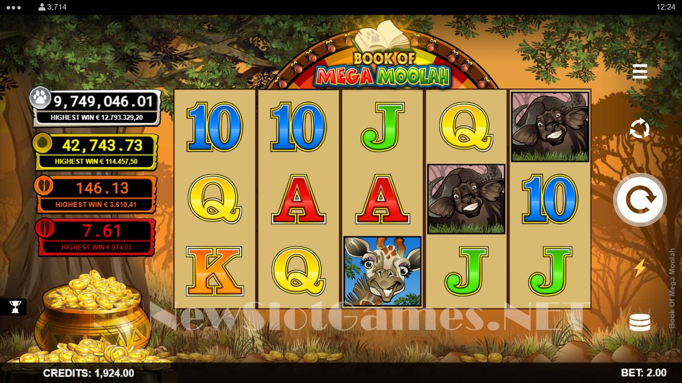 Book of Mega Moolah Slot Slot Image in Demo - pic. 3