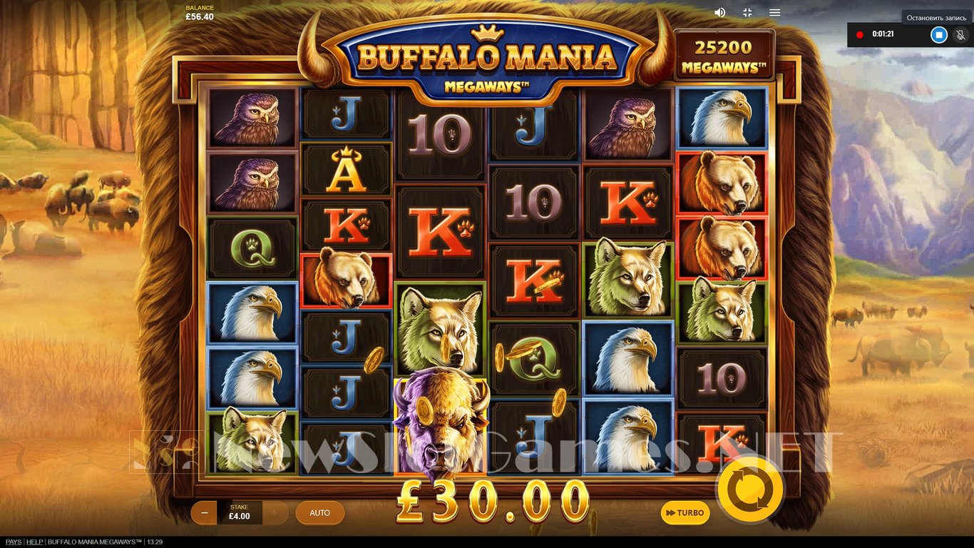 Buffalo Mania Megaways Slot Slot Image in Demo - pic. 7
