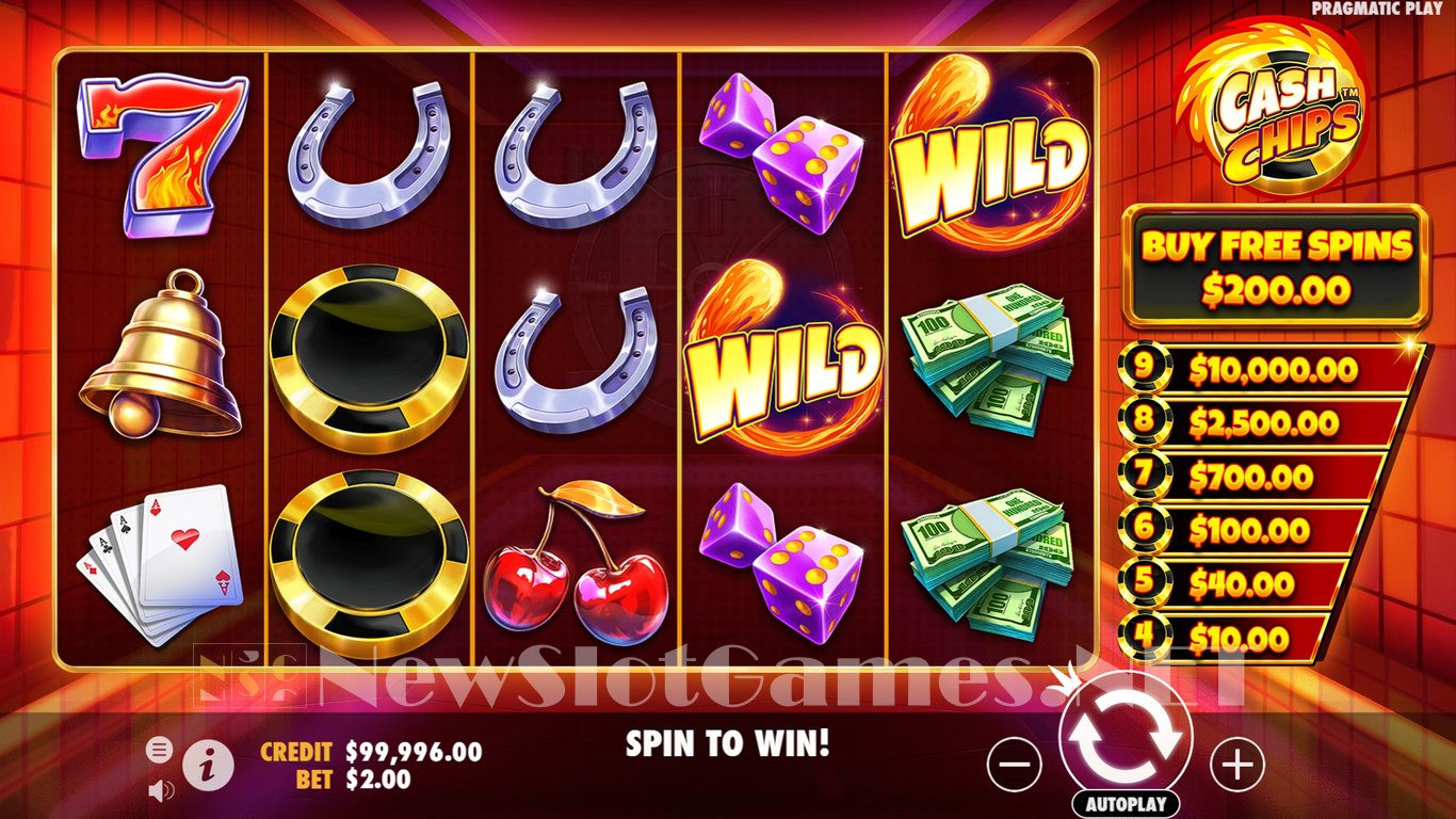 Cash Chips Slot Slot Image in Demo - pic. 2