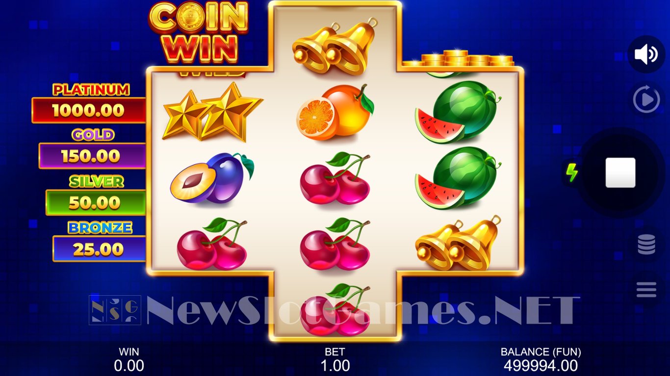 Coin Win Hold The Spins Slot Slot Image in Demo - pic. 6