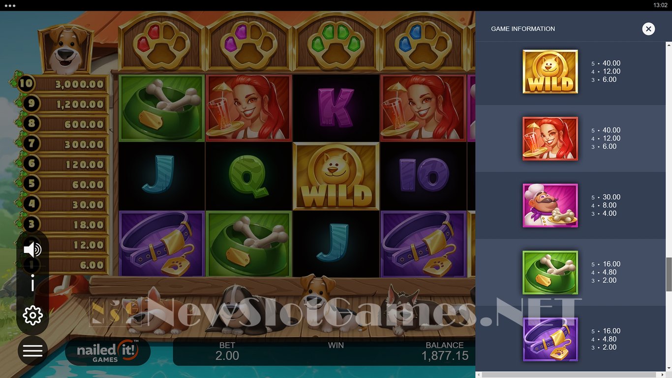 Dog Days Slot Slot Image in Demo - pic. 11