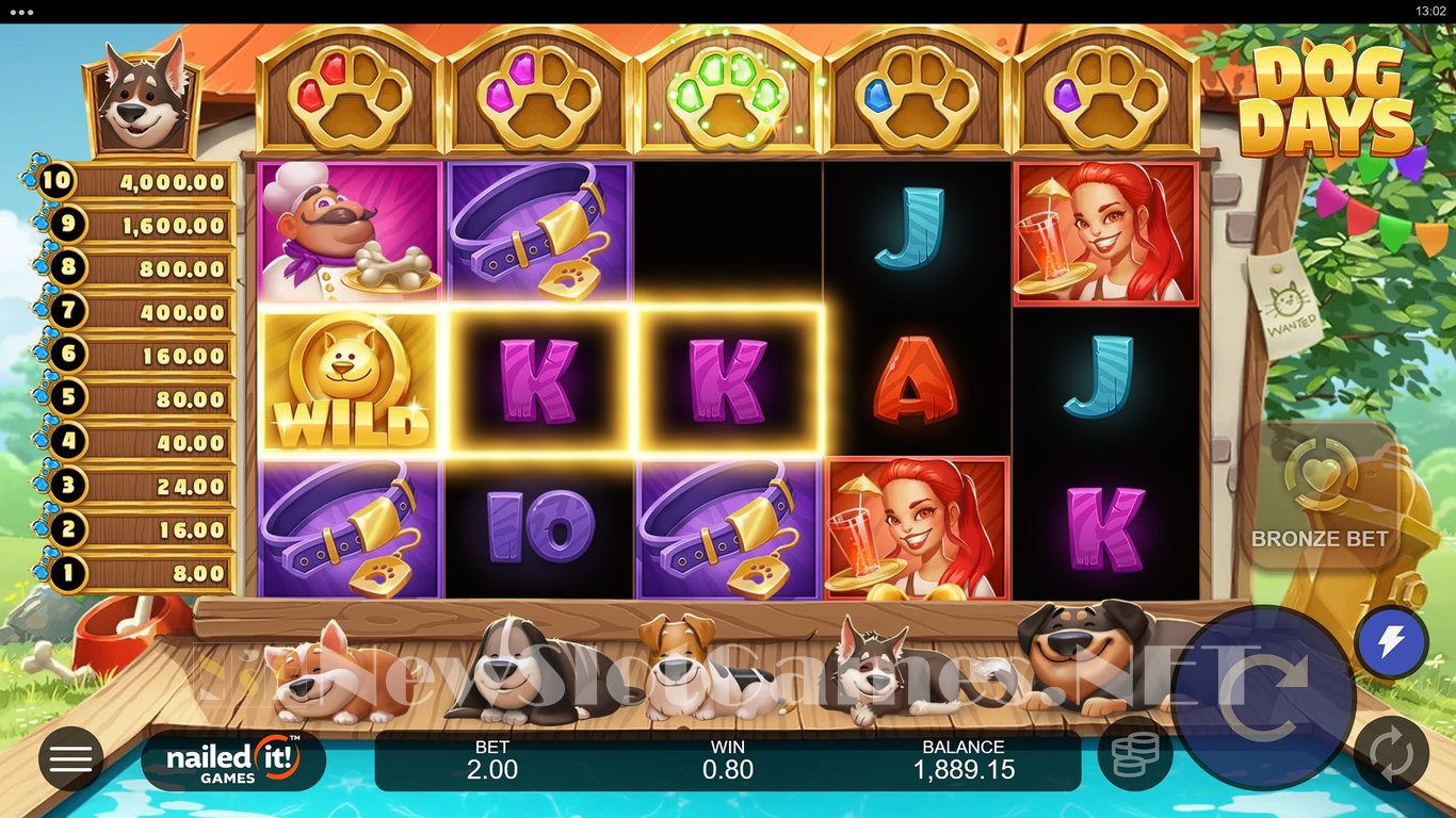 Dog Days Slot Slot Image in Demo - pic. 8