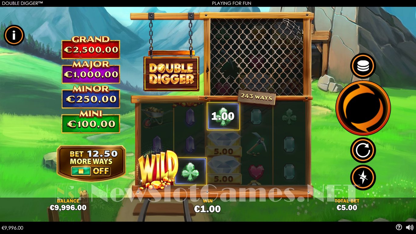 Double Digger Slot Demo Image