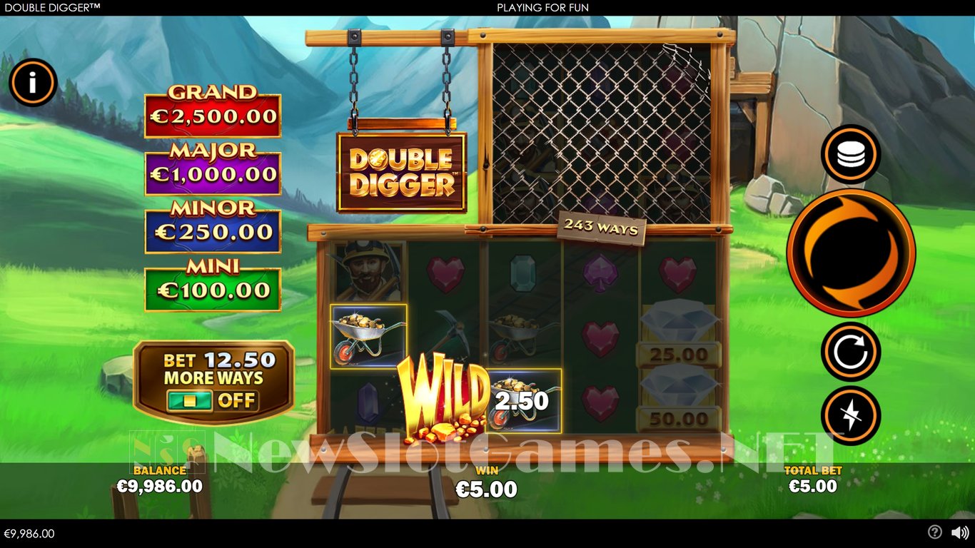 Double Digger Slot Slot Image in Demo - pic. 2