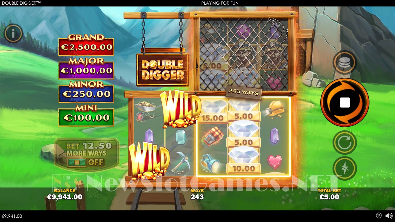 Double Digger Slot Slot Image in Demo - pic. 3