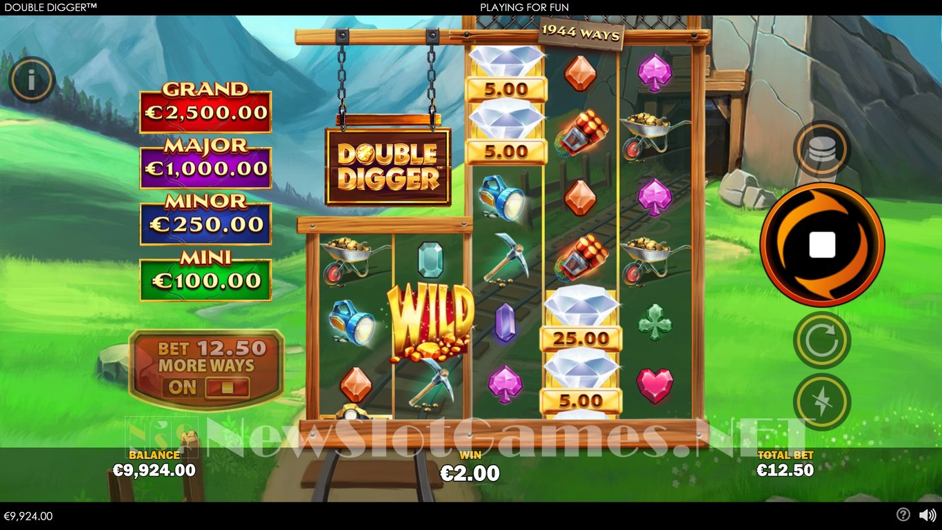 Double Digger Slot Slot Image in Demo - pic. 4