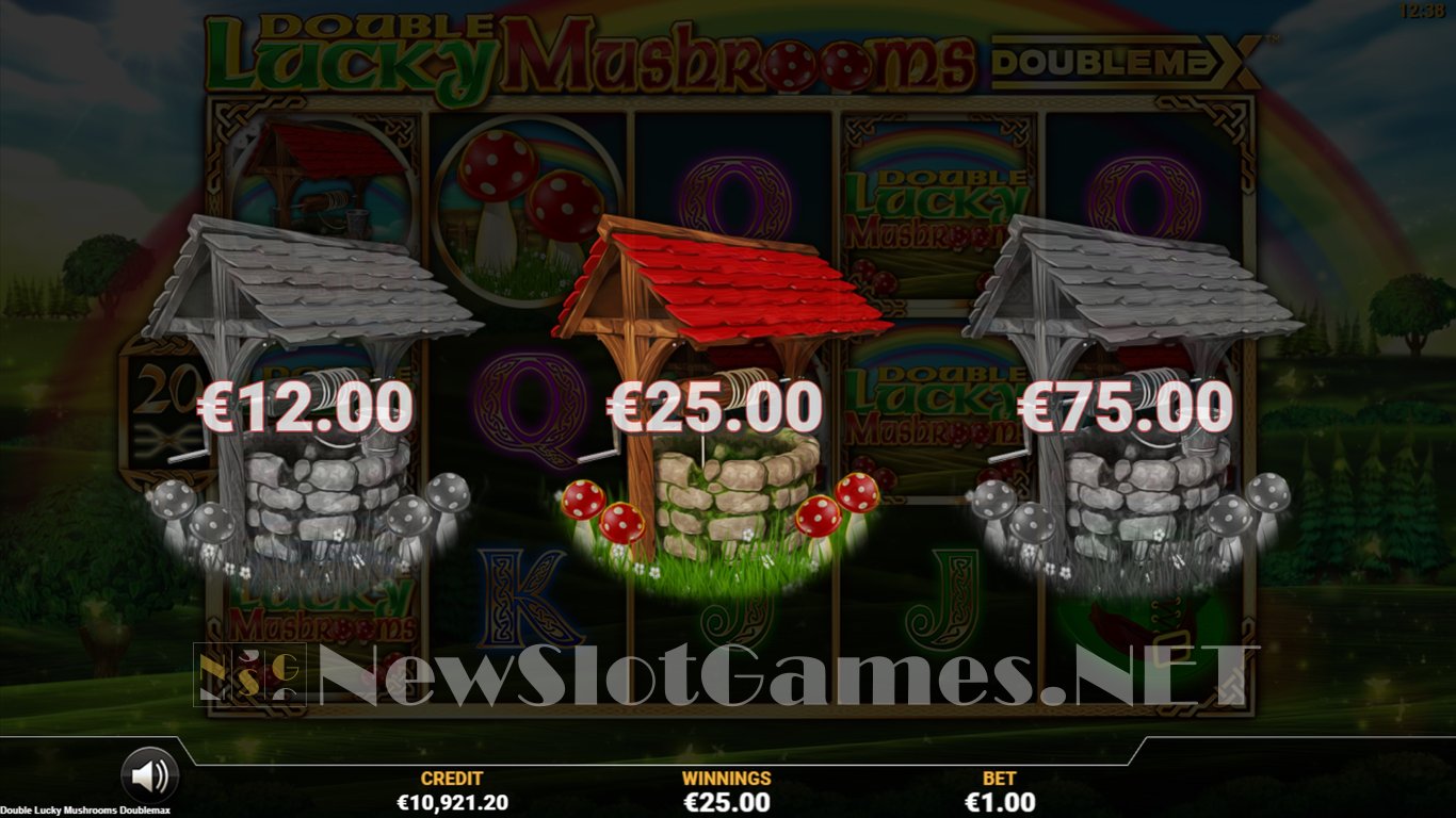 Double Lucky Mushrooms Slot Slot Image in Demo - pic. 11