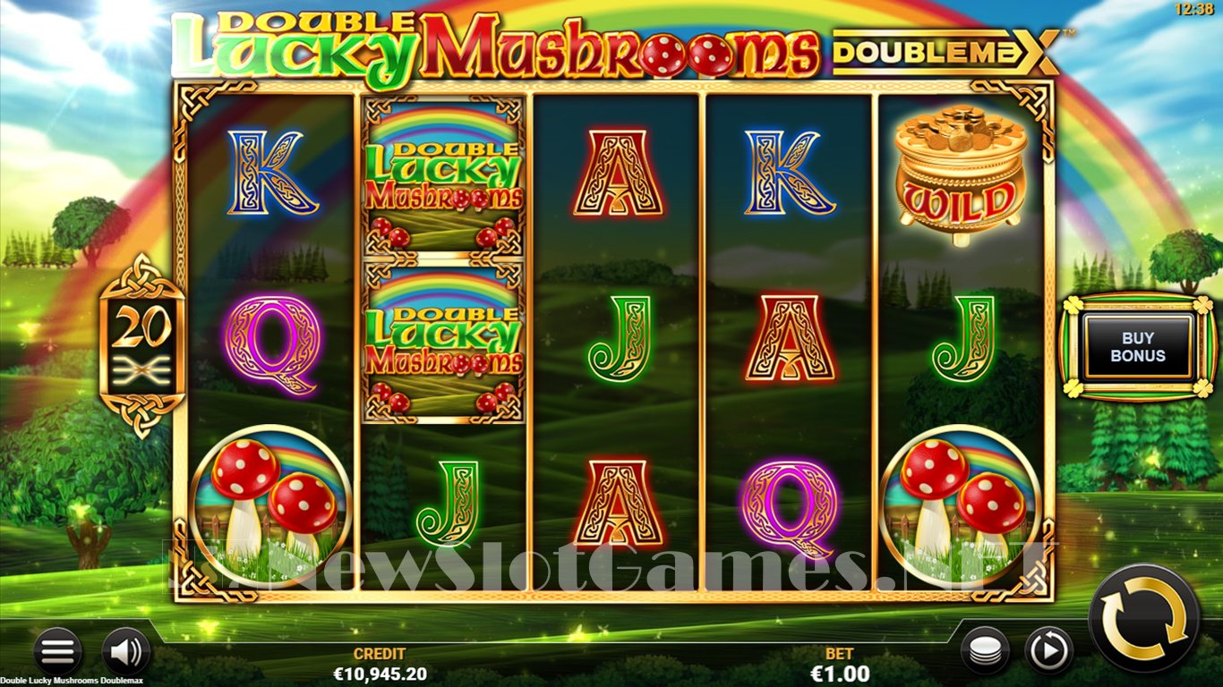 Double Lucky Mushrooms Slot Slot Image in Demo - pic. 13