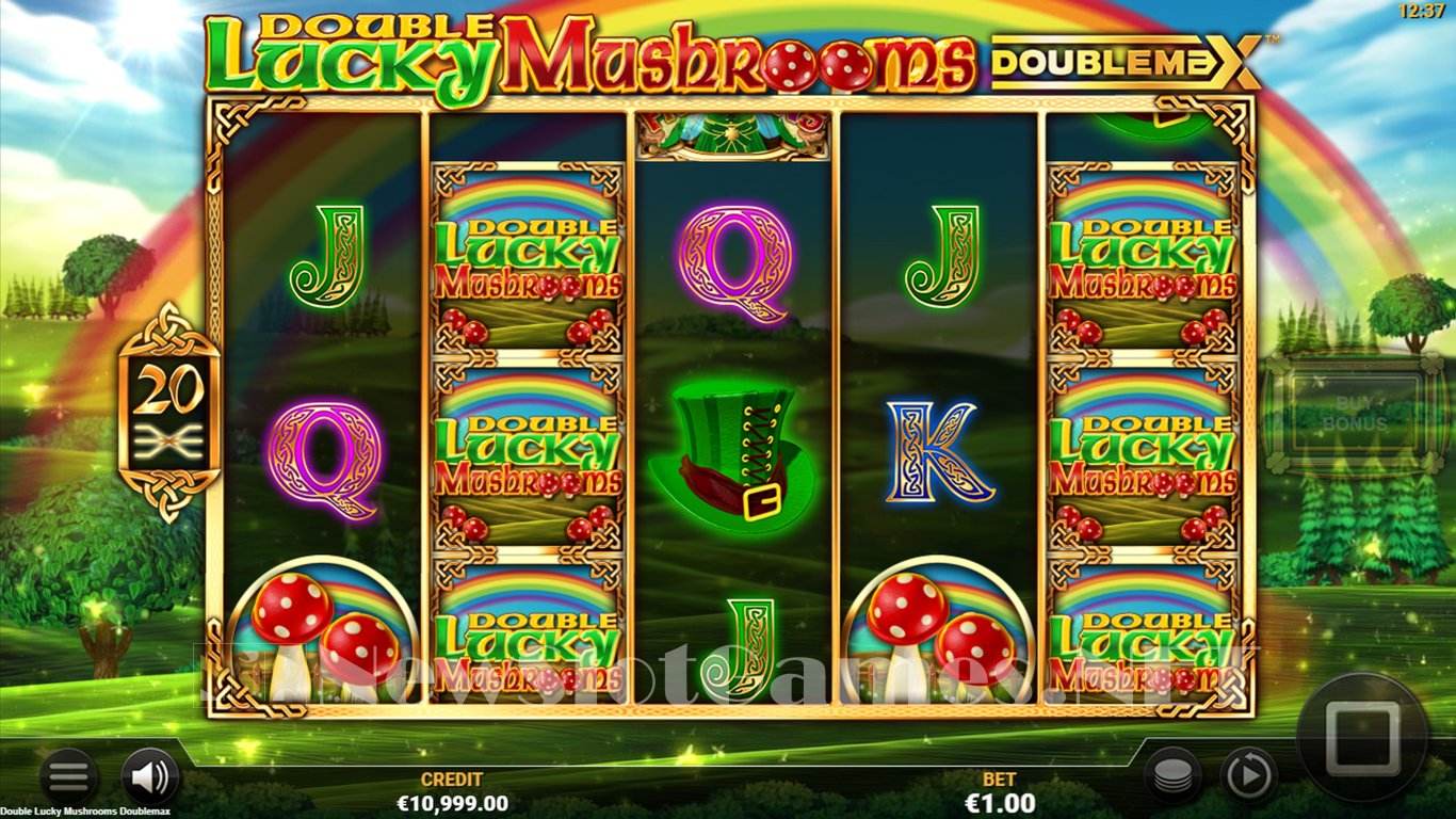 Double Lucky Mushrooms Slot Slot Image in Demo - pic. 2