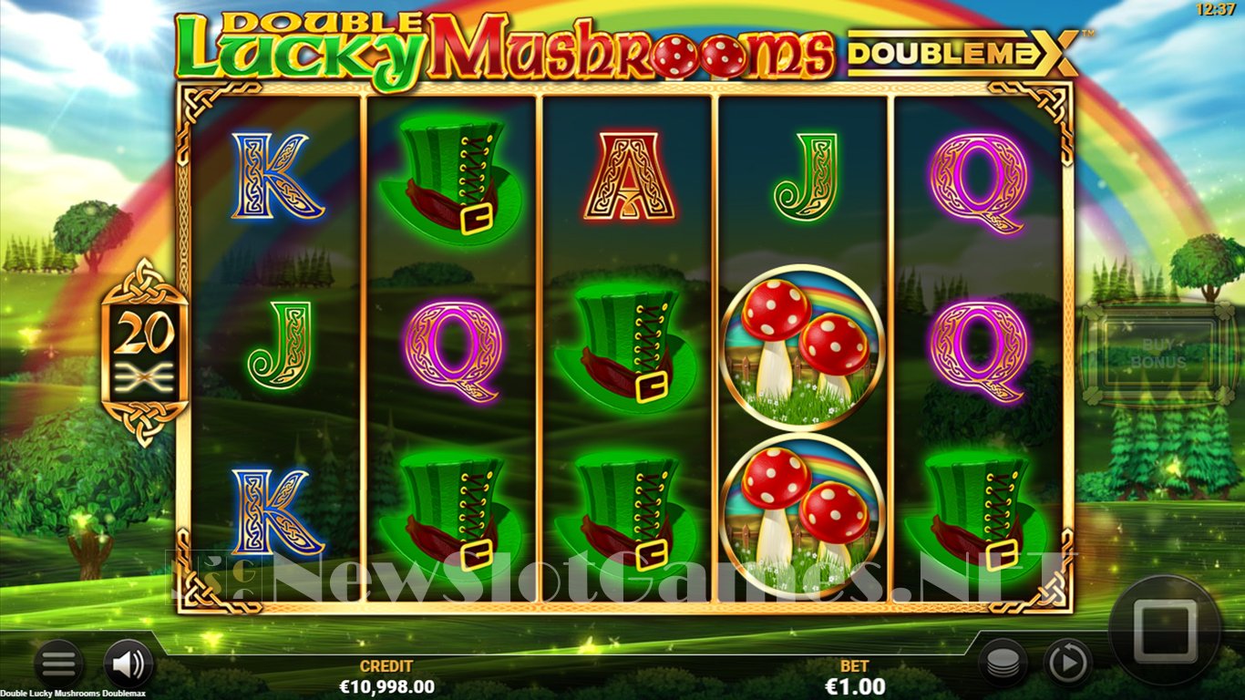 Double Lucky Mushrooms Slot Slot Image in Demo - pic. 3