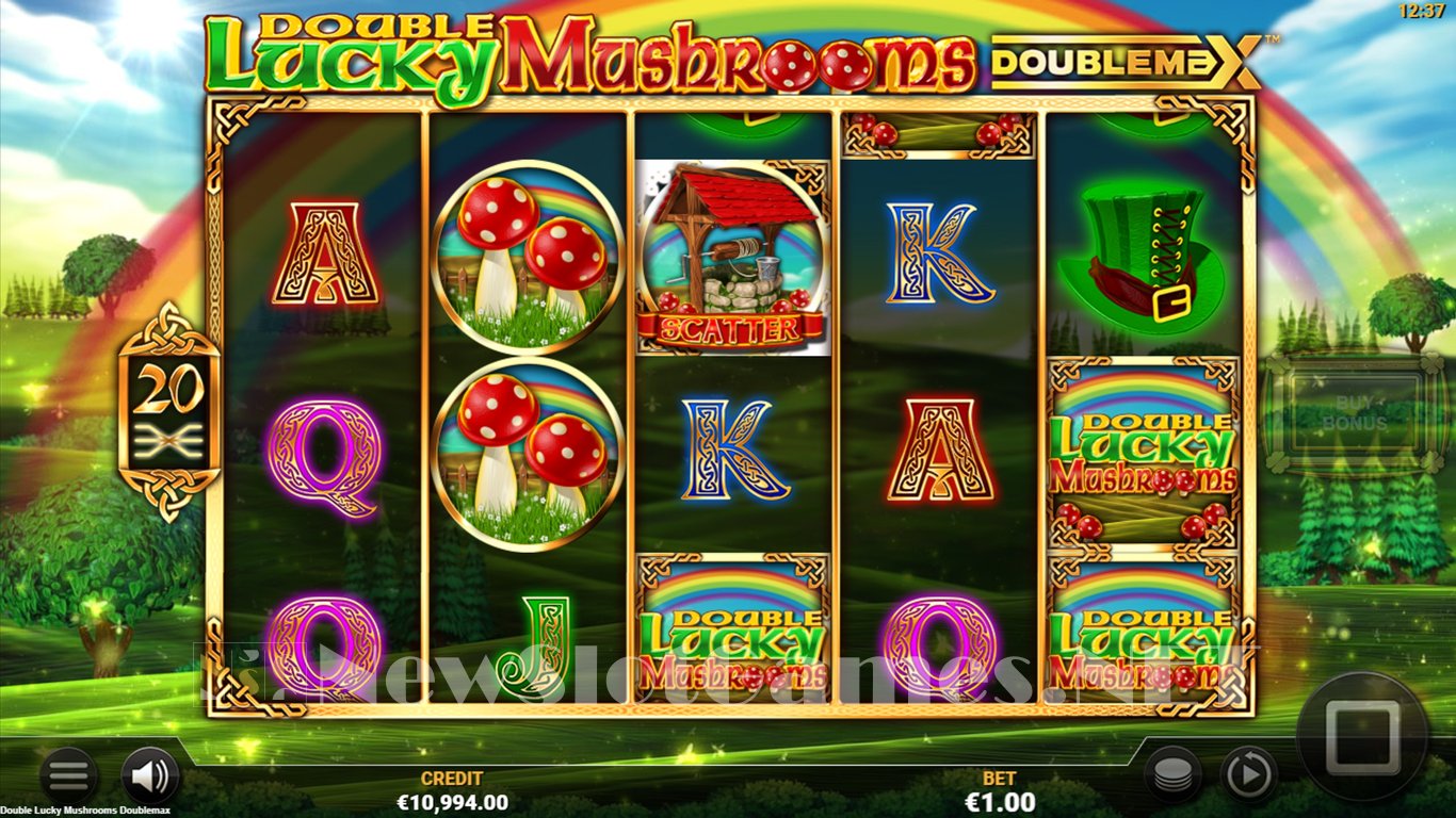 Double Lucky Mushrooms Slot Slot Image in Demo - pic. 6