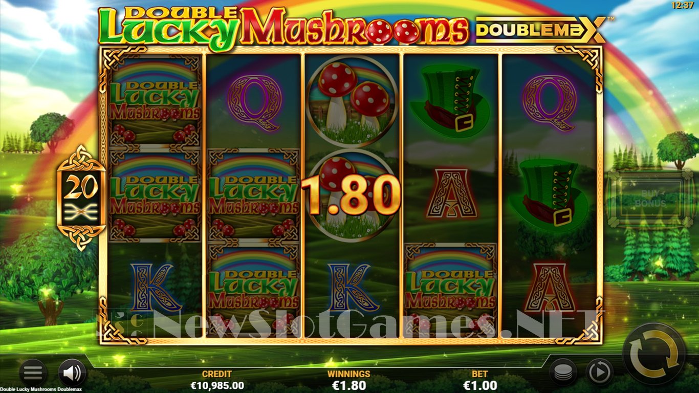 Double Lucky Mushrooms Slot Slot Image in Demo - pic. 7