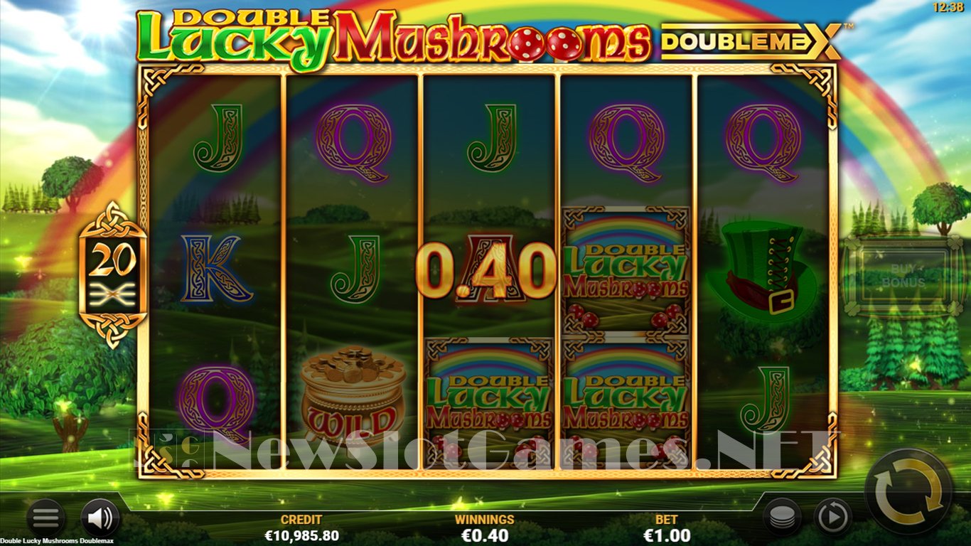 Double Lucky Mushrooms Slot Slot Image in Demo - pic. 8