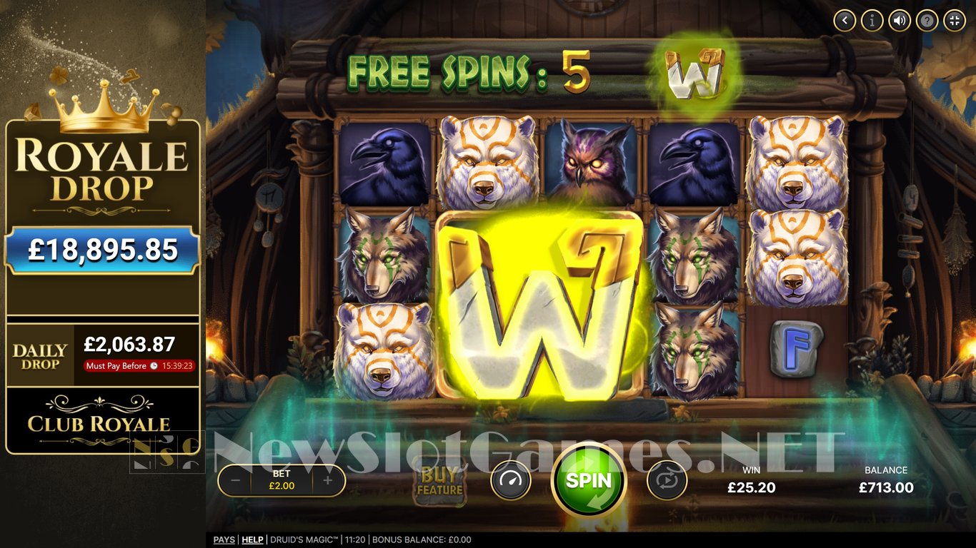 Druids Magic Slot Slot Image in Demo - pic. 10