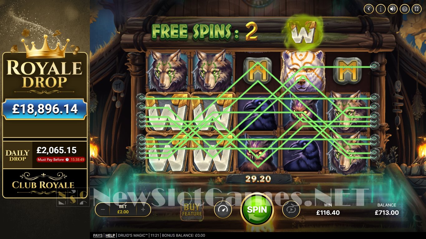 Druids Magic Slot Slot Image in Demo - pic. 12