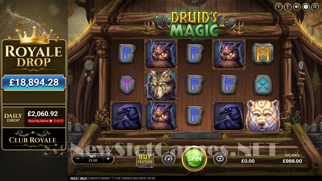 Druids Magic Slot Slot Image in Demo - pic. 2