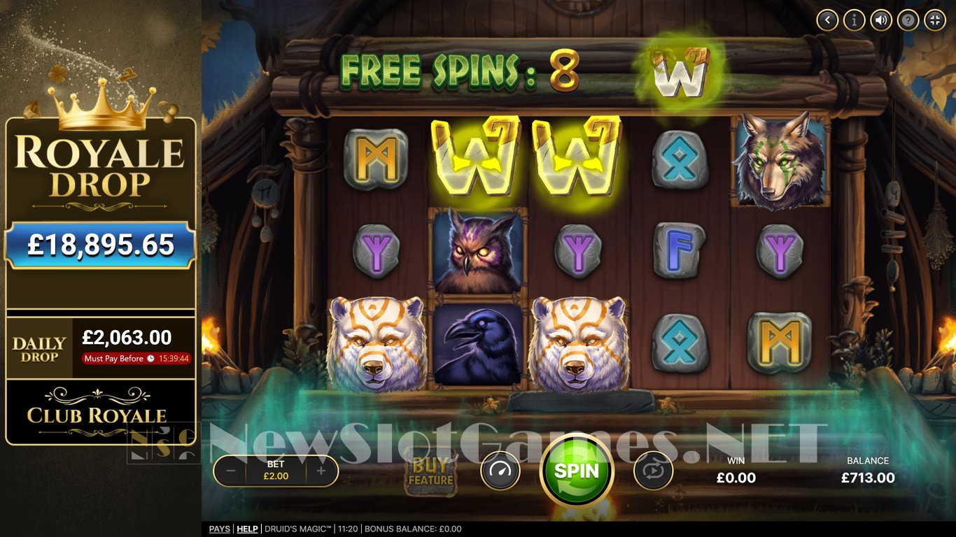 Druids Magic Slot Slot Image in Demo - pic. 8
