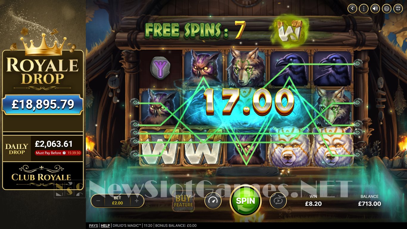 Druids Magic Slot Slot Image in Demo - pic. 9