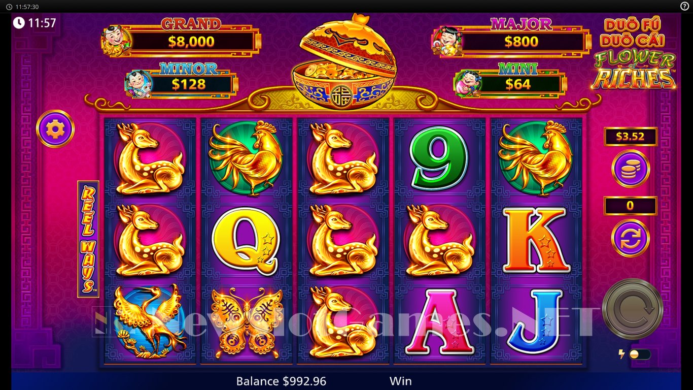 Duo Fu Duo Cai Flower of Riches Slot Slot Image in Demo - pic. 3